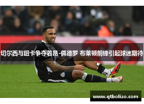 切尔西与纽卡争夺若昂-佩德罗 布莱顿前锋引起球迷期待